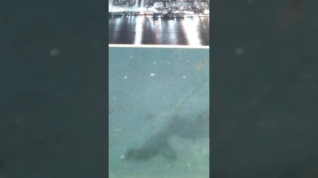 За окошком снег идет смотреть онлайн