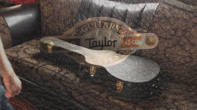 The Last of Us Guitar UNBOXING | Taylor 314ce LTD(Ellie/Joel edition) смотреть онлайн