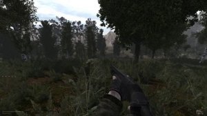 Прохождение S.T.A.L.K.E.R. Anomaly - Часть 21: Зачистка Темной лощины
