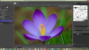 Графический редактор GIMP 2.10/Урок 3 Инструменты выделения