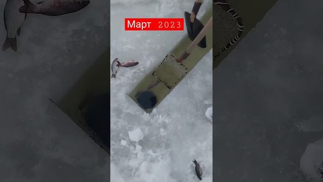 Конец зимней рыбалке на тягу в этом сезоне смотреть онлайн