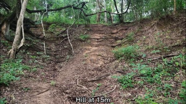 Acebeam Defender P17 XHP70.3 HI, 4900 lumens & Comparison with NEXTORCH TA30C MAX & Fenix TK16 V2