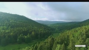 Коран сура Ясин видео 4к Миншави -Minshawiy