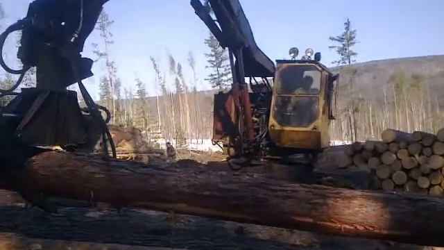 Заготовка леса смотреть онлайн