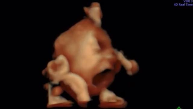 PREGNANCY TRANSFORMATION *WEEK BY WEEK* | PREGNANCY JOURNEY