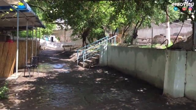 Азербайджанский Шашлык - «У Ильгара» Ташкент (Фантастик Саркастик ) смотреть онлайн