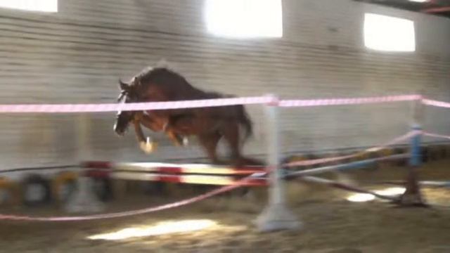 Перфект. Напрыгивание на свободе. ПРОДАН! смотреть онлайн