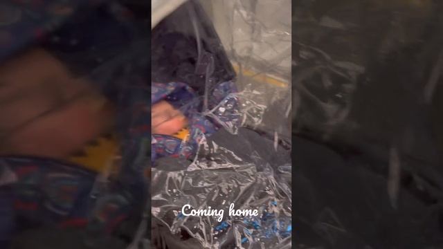 7 month old mixed baby’s daily routine We celebrate Chinese new year смотреть онлайн