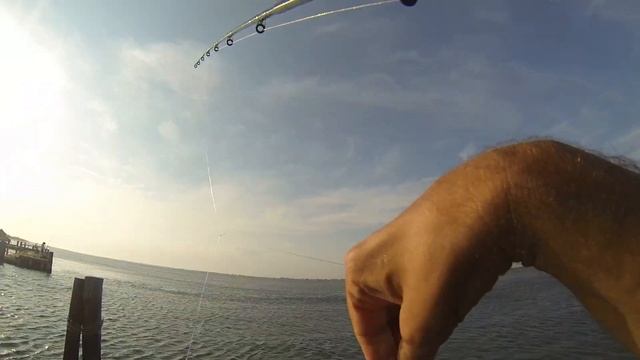 BIG TRIGGER FISH - Long Island Pier fishing - Late Summer TRIGGERFISH (SURF TRIGGERS) смотреть онлайн
