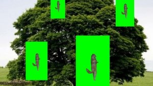 Их виль нихт