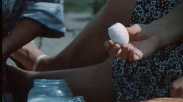 Фитиль "Водная процедура" (1981) смотреть онлайн
