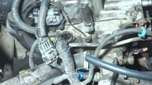 Мой первый Январь