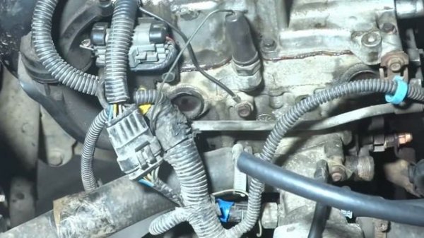 Мой первый Январь