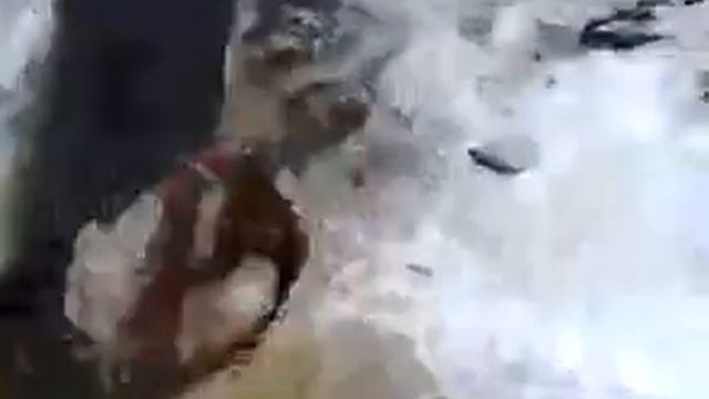 рыбу на тягу или зимняя рыбалка на карася поймали много рыбы смотреть онлайн