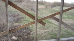 Строительство телятника