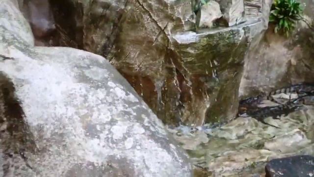 Night Hotspring Lost World Of Tambun, Ipoh Part 1 - Petting zoo - Luminous Forest смотреть онлайн