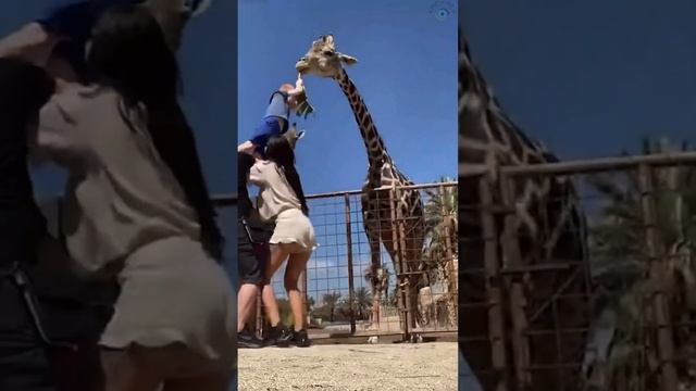 Смешные моменты🤭Эпик Фейлы😁Прикол😆Ржака😂Угар🤣#45 смотреть онлайн