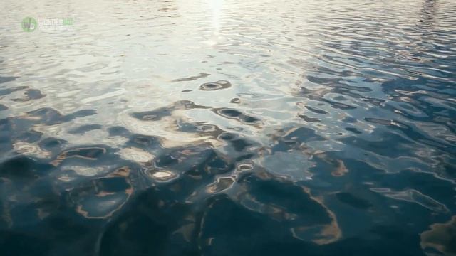 While Spreading His Grandmother’s Ashes A Man Saw A Life in Danger And Knew He Had To Help смотреть онлайн