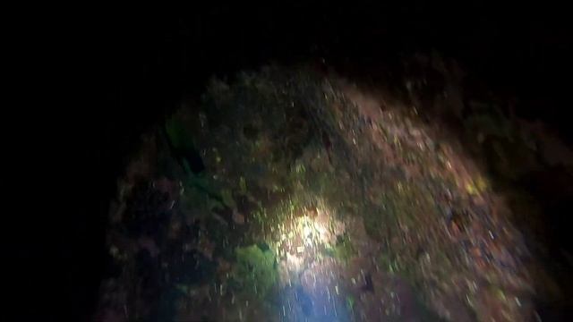 Night Spearfishing Philippines | Catch & cook for food in a beautiful Water Falls | Tropical Island смотреть онлайн