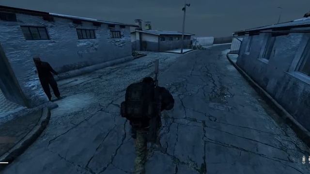 DayZ