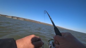 🤬ХВАТЕТ НЕ КЛЮЙ БОЛЬШЕ ТАЩИЛ ЕГО 20 МИНУТ ДО БЕРЕГА рыбалка осенью