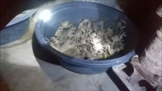 DAKOMO / CATCH AND COOK / PANO HUMULI NG DAKOMO? смотреть онлайн