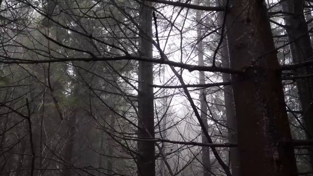 Астрал. смотреть онлайн