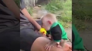 маленькая обезьянка😍😍