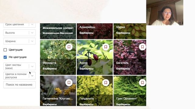 сайт конструктор