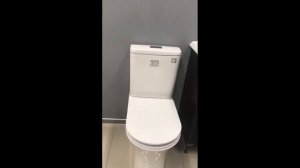 Унитаз напольный безободковый ЭЛЕГАНС AVS 82156A R бачок сиденье HXU09