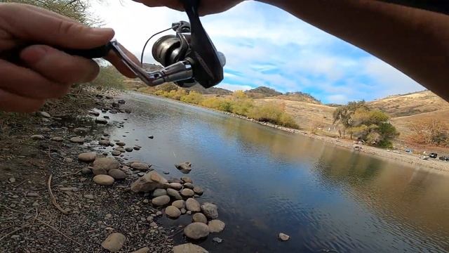 A Week After They Stock Trout Lower King River смотреть онлайн