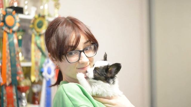 BOGEMA PRESENTS THIS IS MY FAMILY aka PAPILLON STITCH [1.5 MONTH] смотреть онлайн