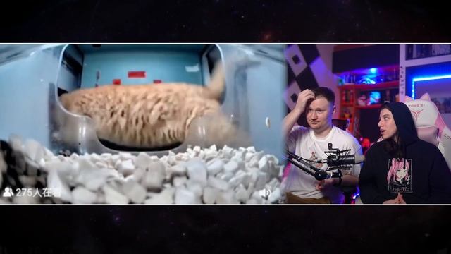 МЕМНЫЙ АЛФАВИТ 2 _ РЕАКЦИЯ на небуди