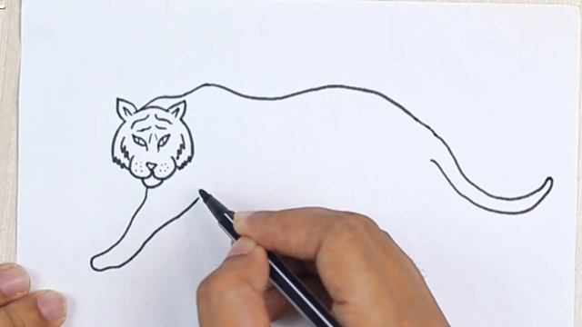 Tiger Drawing | Рисунок тигра 🐅 смотреть онлайн