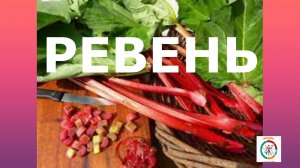 Ревень. Что это такое  и с чем его едят...