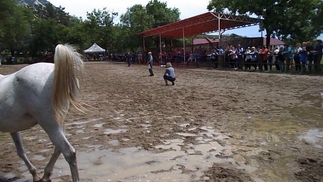 DSCN4054 Терский конный завод,Железноводск