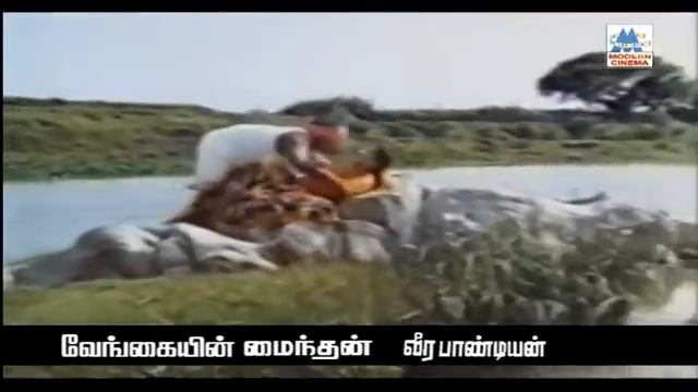 Solai Kiligal Rendu Song | kovil kaalai | Vijayakanth | Ilaiyaraja | Mano | சோலகிளிகள் ரெண்டு смотреть онлайн