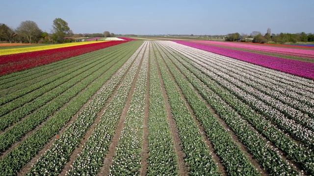 В тебе всё... смотреть онлайн