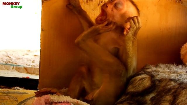 What was baby Axel doing last night? , baby Axel sleepy & yawn open big mouth смотреть онлайн
