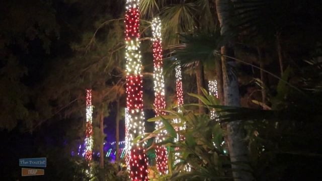 Florida Botanical Gardens 2021 Holiday Lights смотреть онлайн