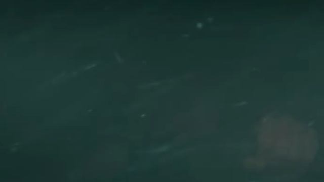 1000007232.mp4 смотреть онлайн