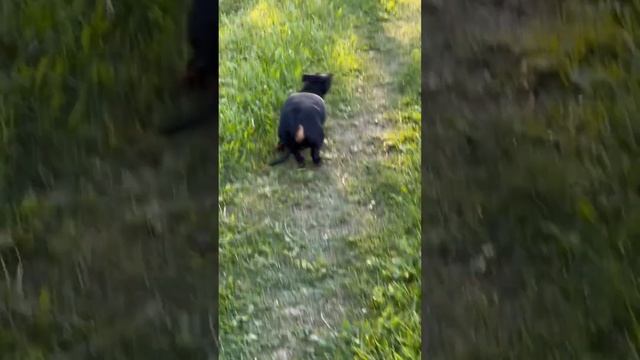 9 сентября 2024 г.