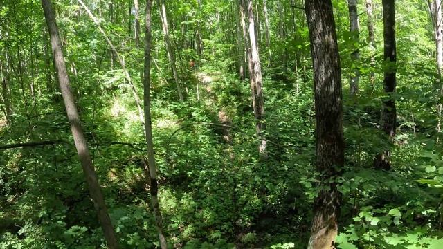 Хард Эндуро в Старом Пшенево