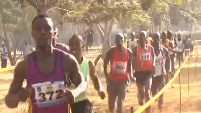 Team for world cross-country championships named смотреть онлайн
