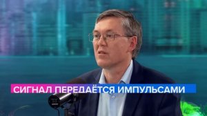 Как появляется зависимость? | Лекция Вячеслава Дубынина 2023 | Мослекторий