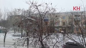 Прилетели свиристели и приметы засвистели», - так говорят в народе