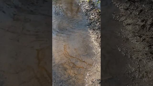 Разлив 2018 с. Передельск, Луганская область