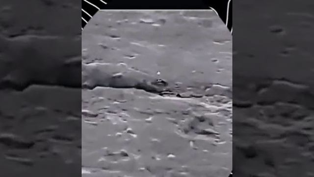 #прикол #смешноевидео #ржака #смешно смотреть онлайн