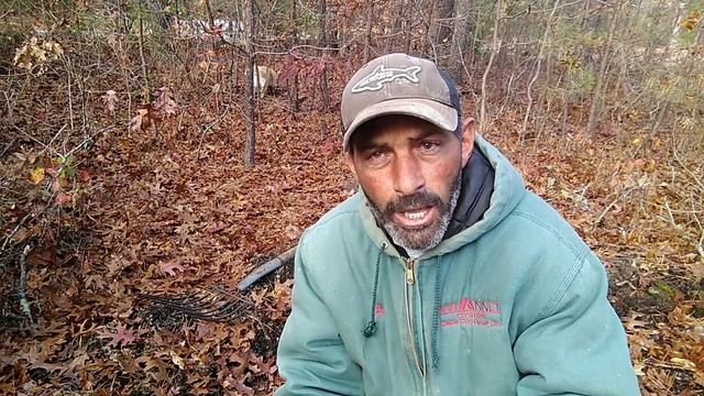 Make Leaf Mold: Turn Fallen leaves into compost.|| WILL IT GROW! смотреть онлайн