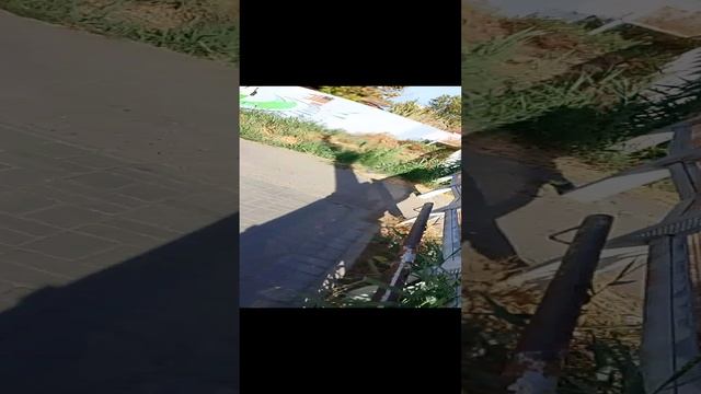 201 смотреть онлайн